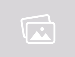 The Major Causes of the American Revolutionary War